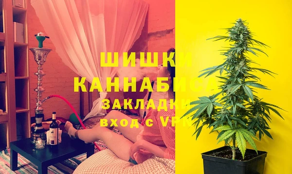 эйфоретик Баксан